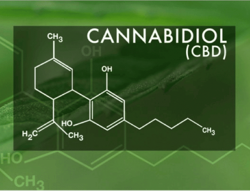 Understanding the CBD Market