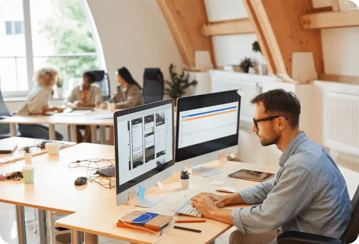 Custom Software Service